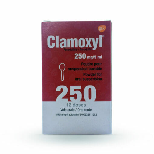 Clamoxyl Syrup 250mg 60ml Kasha